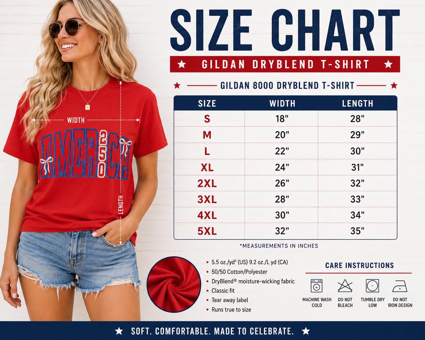 AMERICA 250 Celebration Embroidery Ladies Tee