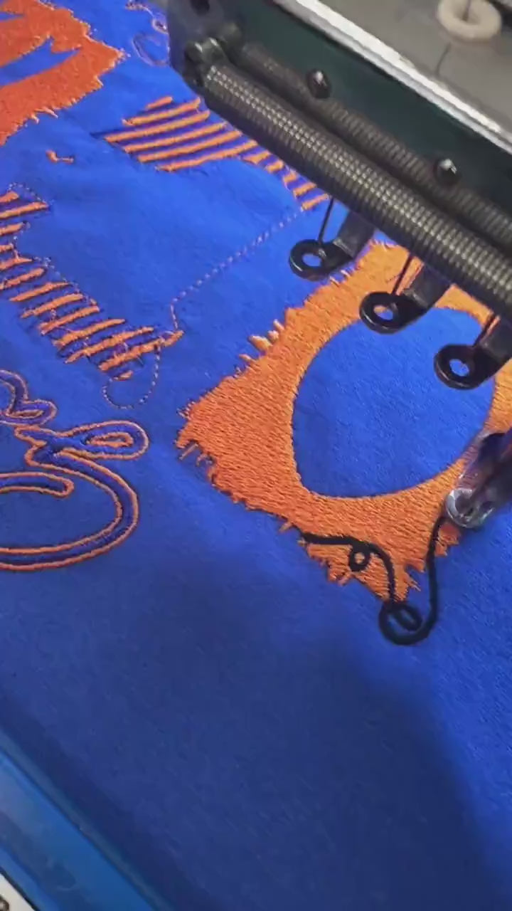 Gators touchdown season embroidered tee or tank/ mommy and me sizes